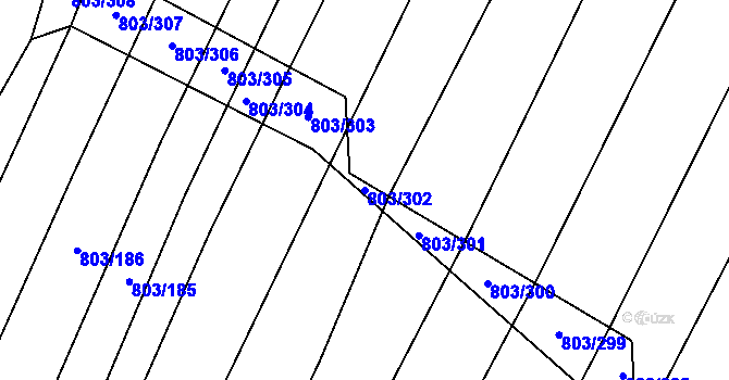 Parcela st. 803/302 v KÚ Nová Ves u Oslavan, Katastrální mapa