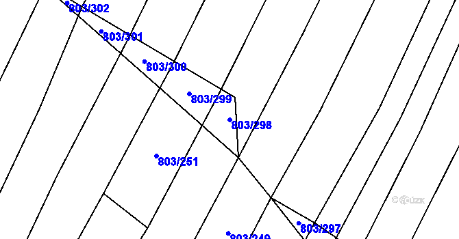 Parcela st. 803/298 v KÚ Nová Ves u Oslavan, Katastrální mapa