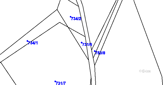 Parcela st. 731/6 v KÚ Nová Ves u Třešti, Katastrální mapa