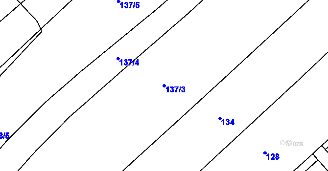 Parcela st. 137/3 v KÚ Nová Ves I, Katastrální mapa