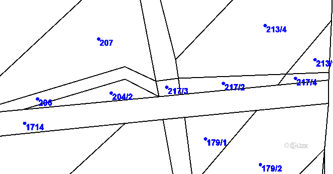 Parcela st. 217/3 v KÚ Nová Ves I, Katastrální mapa
