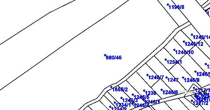 Parcela st. 980/46 v KÚ Nová Ves I, Katastrální mapa