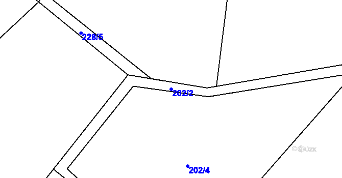 Parcela st. 202/2 v KÚ Nová Ves pod Pleší, Katastrální mapa