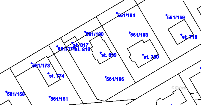 Parcela st. 699 v KÚ Nová Ves pod Pleší, Katastrální mapa