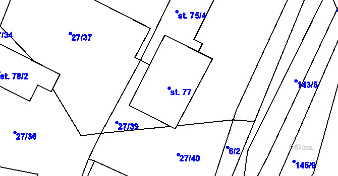 Parcela st. 77 v KÚ Nová Ves u Chýnova, Katastrální mapa