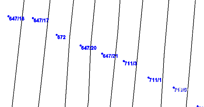 Parcela st. 647/21 v KÚ Nová Ves u Chýnova, Katastrální mapa
