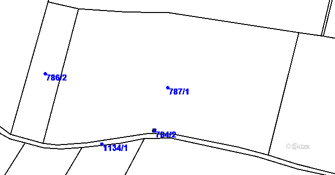 Parcela st. 787/1 v KÚ Nová Ves u Mladé Vožice, Katastrální mapa