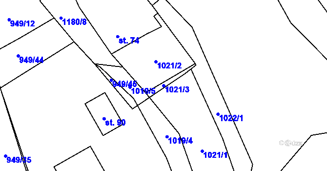 Parcela st. 1021/3 v KÚ Nová Ves u Mladé Vožice, Katastrální mapa