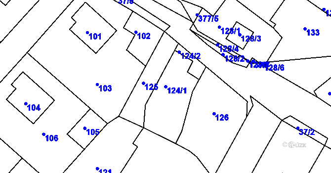 Parcela st. 124/1 v KÚ Nová Ves u Nového Města na Moravě, Katastrální mapa