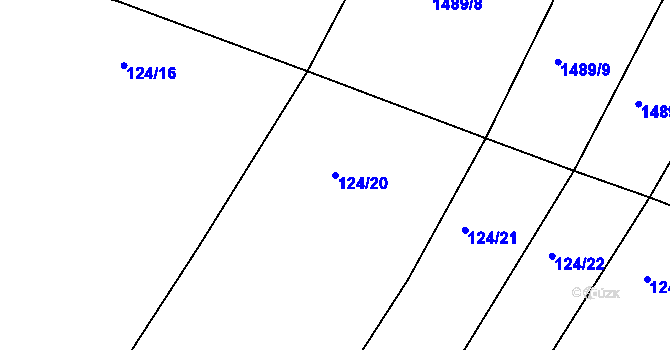 Parcela st. 124/20 v KÚ Nová Ves u Světlé nad Sázavou, Katastrální mapa