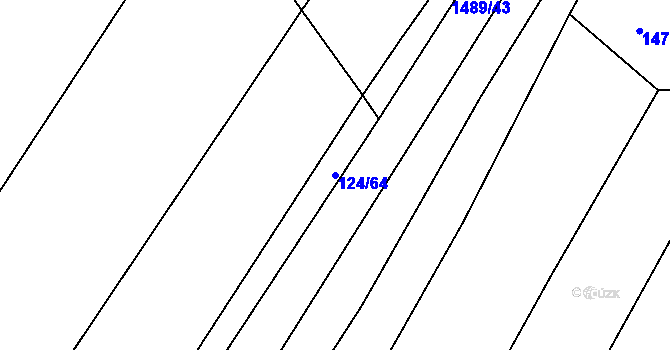 Parcela st. 124/64 v KÚ Nová Ves u Světlé nad Sázavou, Katastrální mapa