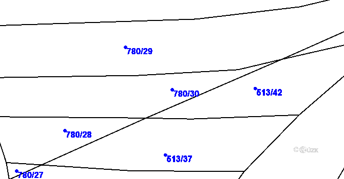 Parcela st. 780/30 v KÚ Nová Ves u Světlé nad Sázavou, Katastrální mapa