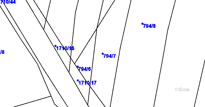 Parcela st. 794/7 v KÚ Nová Ves u Světlé nad Sázavou, Katastrální mapa