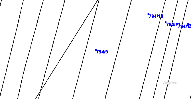 Parcela st. 794/9 v KÚ Nová Ves u Světlé nad Sázavou, Katastrální mapa