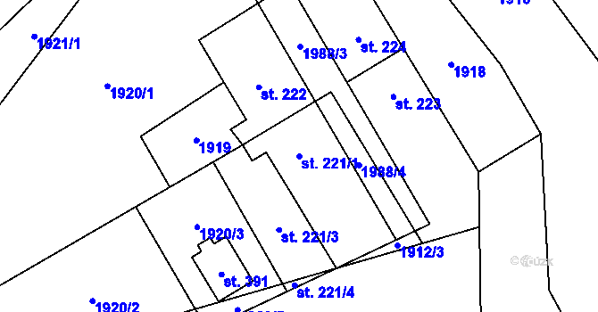 Parcela st. 221/1 v KÚ Nové Heřminovy, Katastrální mapa