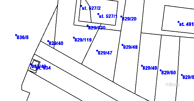 Parcela st. 829/47 v KÚ Nové Hrady, Katastrální mapa