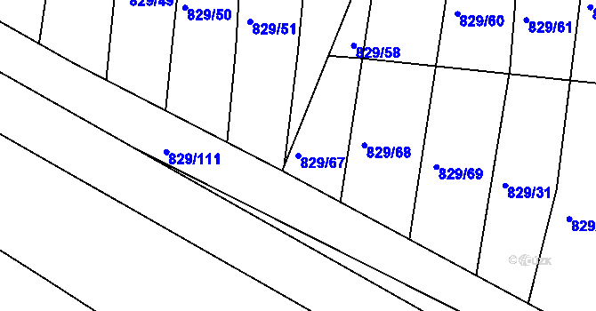 Parcela st. 829/67 v KÚ Nové Hrady, Katastrální mapa