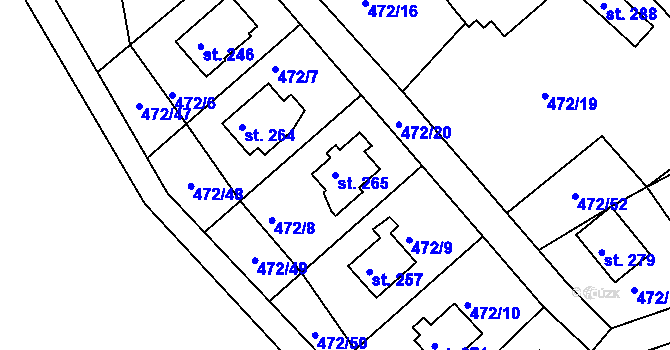 Parcela st. 265 v KÚ Nové Hrady u Skutče, Katastrální mapa