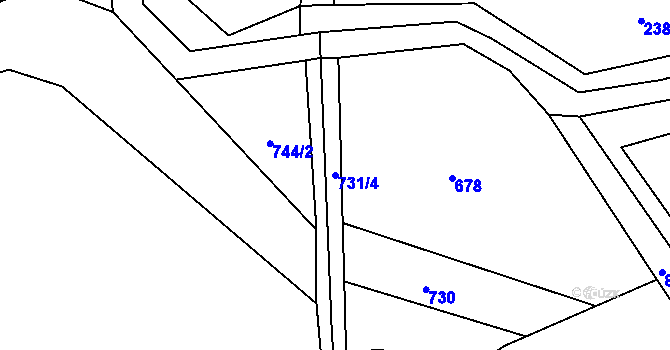 Parcela st. 731/4 v KÚ Nové Hrady u Skutče, Katastrální mapa