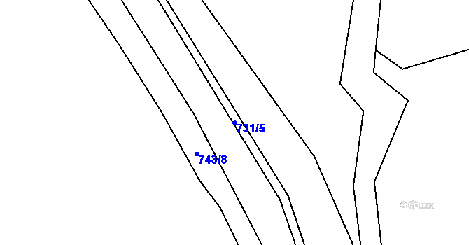 Parcela st. 731/5 v KÚ Nové Hrady u Skutče, Katastrální mapa