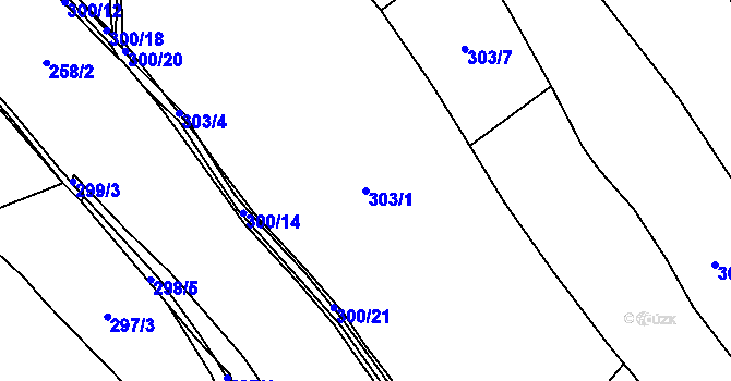Parcela st. 303/1 v KÚ Maršovice u Nového Města na Moravě, Katastrální mapa