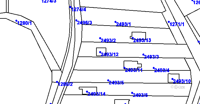 Parcela st. 2493/12 v KÚ Nové Město na Moravě, Katastrální mapa