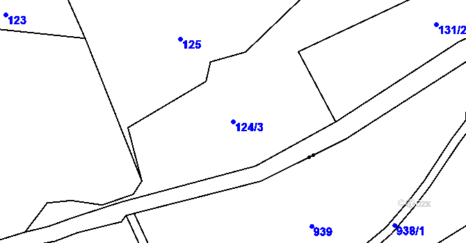 Parcela st. 124/3 v KÚ Hajniště pod Smrkem, Katastrální mapa
