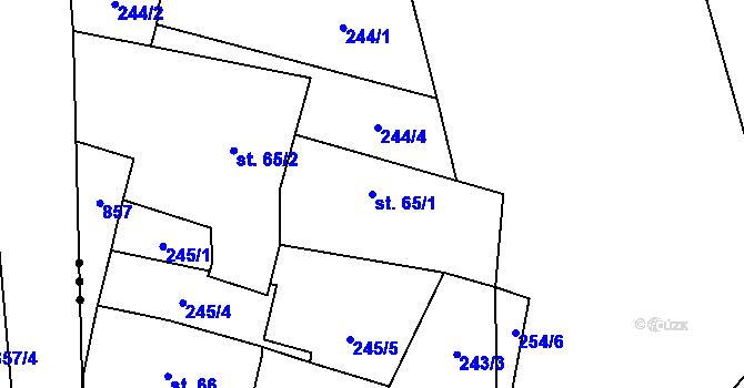 Parcela st. 65/1 v KÚ Nové Ouholice, Katastrální mapa
