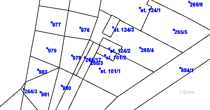 Parcela st. 101/2 v KÚ Nové Ouholice, Katastrální mapa