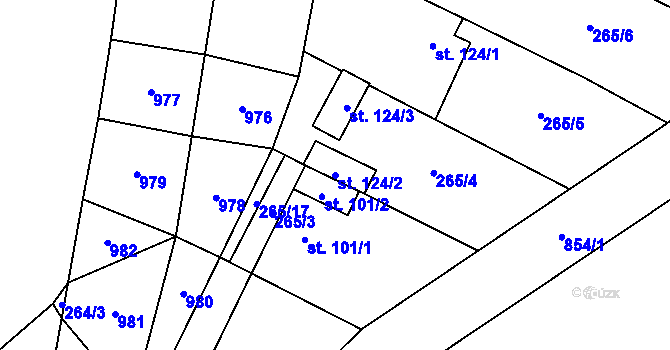 Parcela st. 124/2 v KÚ Nové Ouholice, Katastrální mapa