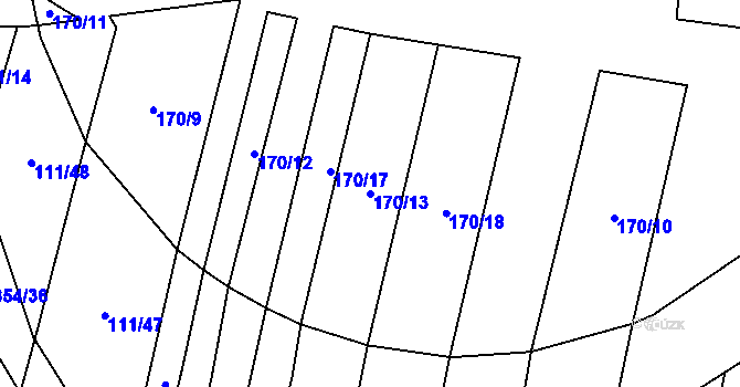 Parcela st. 170/13 v KÚ Nové Ouholice, Katastrální mapa