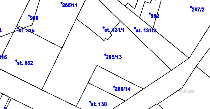 Parcela st. 265/13 v KÚ Nové Ouholice, Katastrální mapa