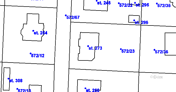 Parcela st. 273 v KÚ Nové Ouholice, Katastrální mapa