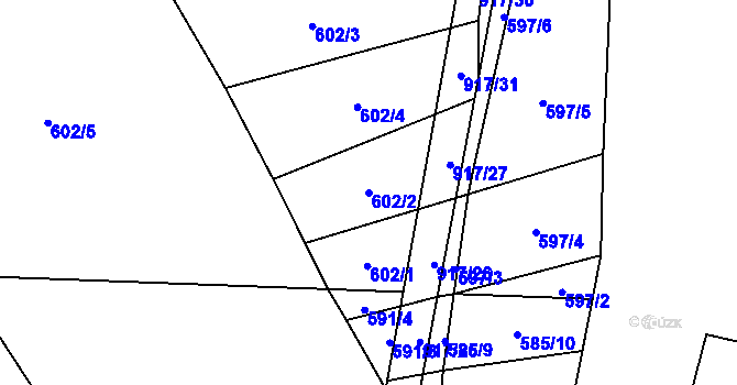 Parcela st. 602/2 v KÚ Nové Ouholice, Katastrální mapa