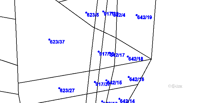Parcela st. 917/38 v KÚ Nové Ouholice, Katastrální mapa