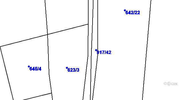 Parcela st. 917/42 v KÚ Nové Ouholice, Katastrální mapa