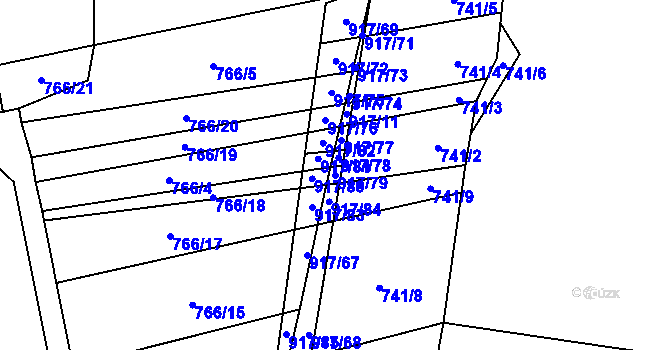 Parcela st. 917/79 v KÚ Nové Ouholice, Katastrální mapa