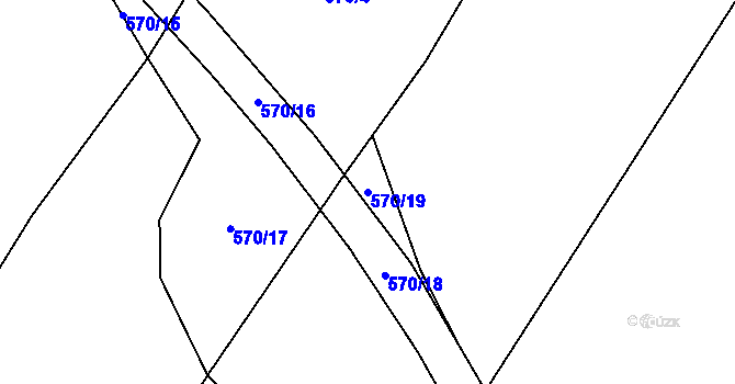 Parcela st. 570/19 v KÚ Nové Sady u Velké Bíteše, Katastrální mapa