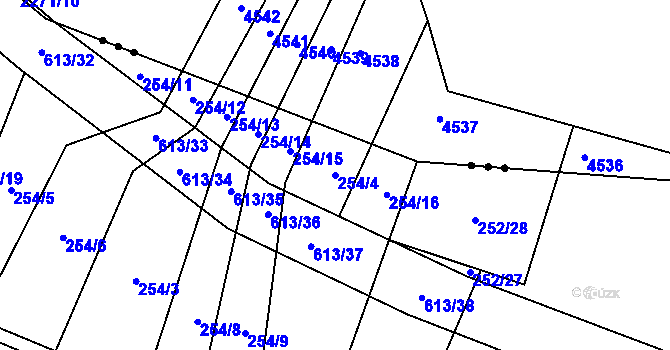 Parcela st. 254/4 v KÚ Nové Sady u Velké Bíteše, Katastrální mapa