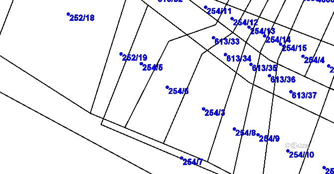 Parcela st. 254/6 v KÚ Nové Sady u Velké Bíteše, Katastrální mapa
