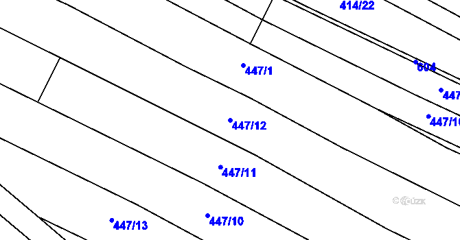 Parcela st. 447/12 v KÚ Nové Sady u Velké Bíteše, Katastrální mapa