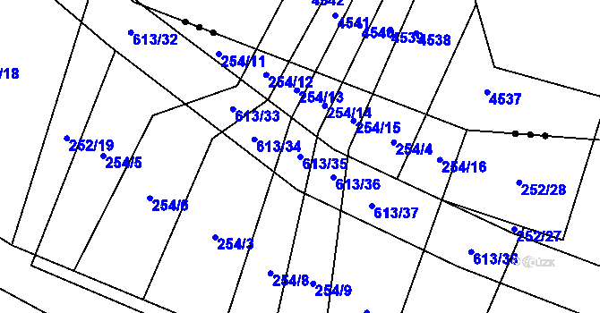 Parcela st. 613/35 v KÚ Nové Sady u Velké Bíteše, Katastrální mapa