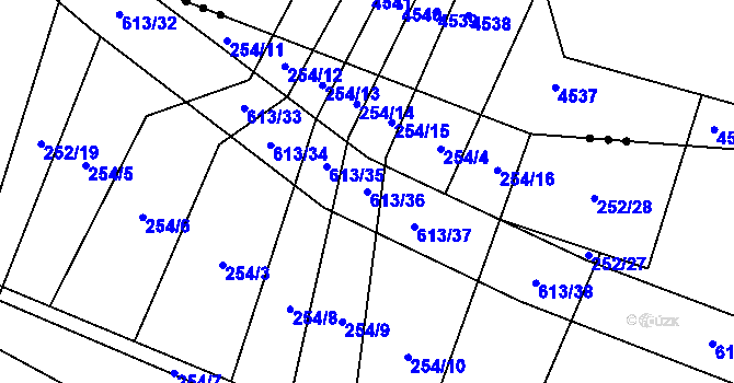 Parcela st. 613/36 v KÚ Nové Sady u Velké Bíteše, Katastrální mapa