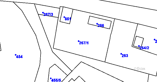 Parcela st. 267/1 v KÚ Loučky u Lokte, Katastrální mapa