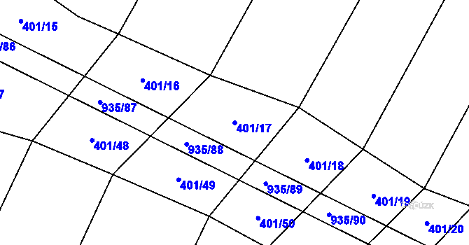 Parcela st. 401/17 v KÚ Nové Syrovice, Katastrální mapa