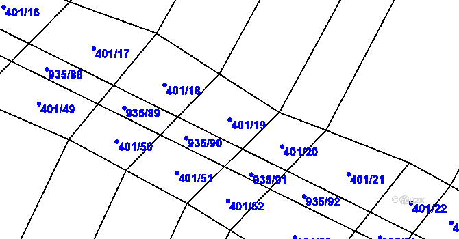 Parcela st. 401/19 v KÚ Nové Syrovice, Katastrální mapa