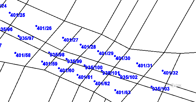 Parcela st. 401/29 v KÚ Nové Syrovice, Katastrální mapa