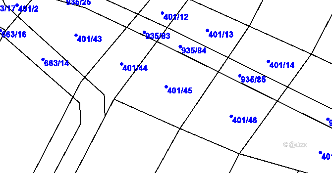 Parcela st. 401/45 v KÚ Nové Syrovice, Katastrální mapa