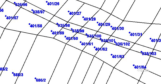 Parcela st. 401/61 v KÚ Nové Syrovice, Katastrální mapa