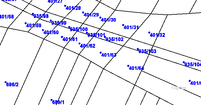Parcela st. 401/63 v KÚ Nové Syrovice, Katastrální mapa